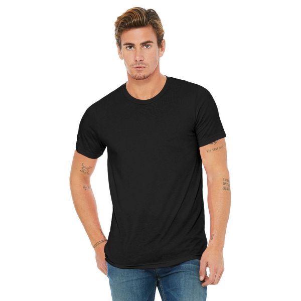 Bella + Canvas Unisex Triblend T-Shirt 3413C